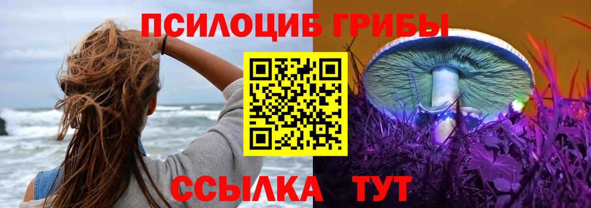 Псилоцибиновые грибы GOLDEN TEACHER Губаха